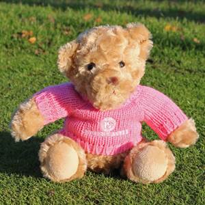 Hever Castle Teddy Bear Pink